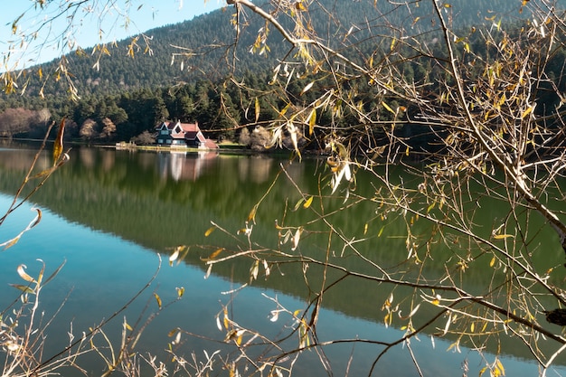 Bezpłatne zdjęcie jezioro i las na górze na terenach wiejskich