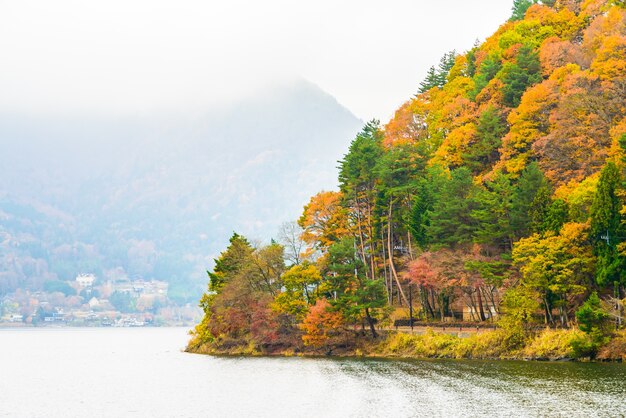 Jezioro Kawaguchiko
