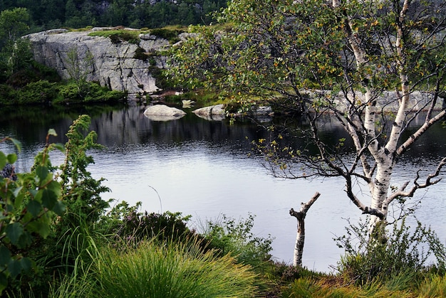 Jezioro z odbiciem drzew otoczonych formacjami skalnymi w Preikestolen w Norwegii