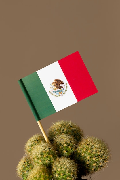 Bezpłatne zdjęcie kaktus i flaga meksykańska na 5 maja
