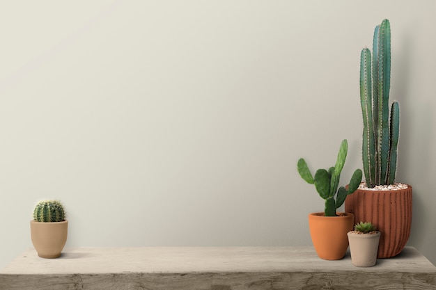 Kaktus na półce przy pustym tle ściany