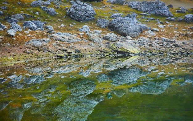 Kamienie i drzewa odbijają się w jeziorze Carezza Karersee Światowe Dziedzictwo Przyrodnicze UNESCO Nova Levante