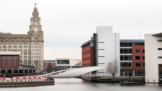 Kanały wodne w Liverpool Wielka Brytania Nowoczesne budynki Royal Liver Building pochmurna pogoda