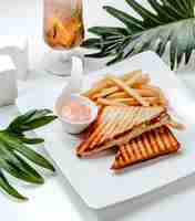 Bezpłatne zdjęcie kanapka serowa z frytkami