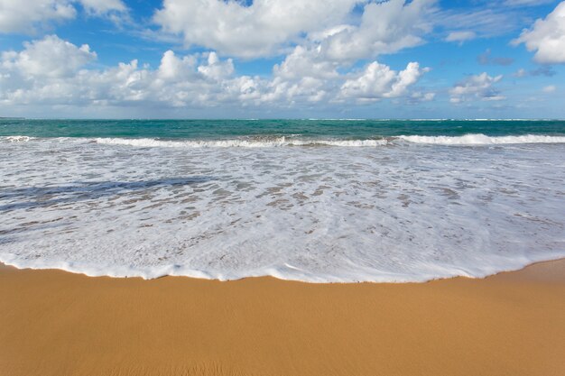 Karaibska plaża z niebieskim niebem