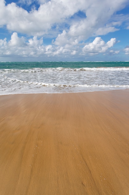 Karaibska plaża z niebieskim niebem