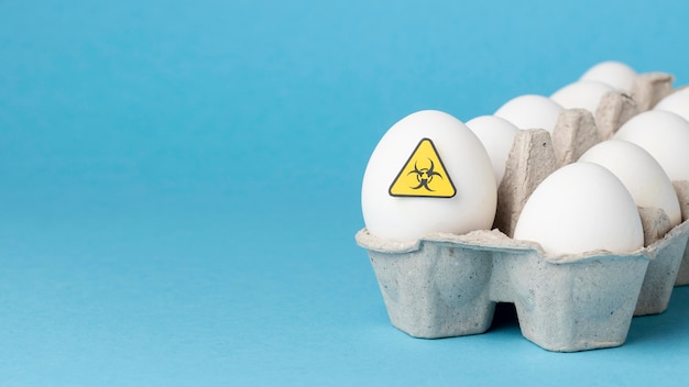 Karma jajeczna modyfikowana GMO w pudełku kartonowym