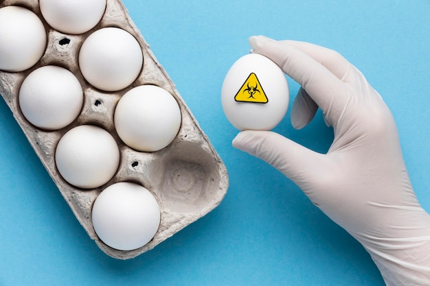 Bezpłatne zdjęcie karma jajeczna modyfikowana gmo w pudełku kartonowym