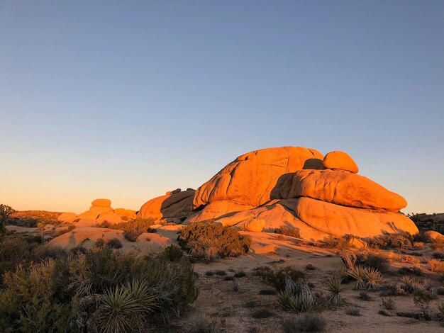 Kawałki skał w Parku Narodowym Joshua Tree, USA