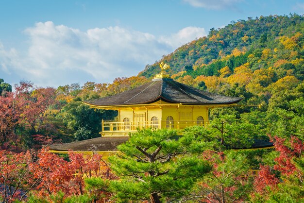 Kinkakuji Temple &quot;Złoty Pawilon&quot; w Kyoto, Japonia