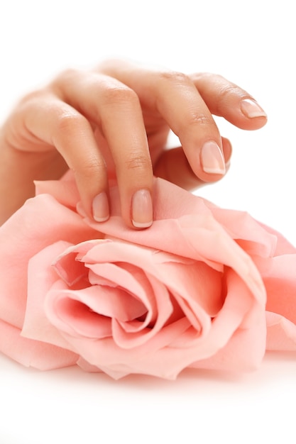 Kobiece dłonie z różową różą. Pojęcie kobiecości