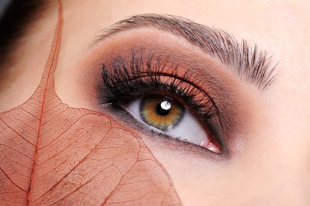 Kobiece oko z brązowym jasnym makijażem i liściem na twarzy