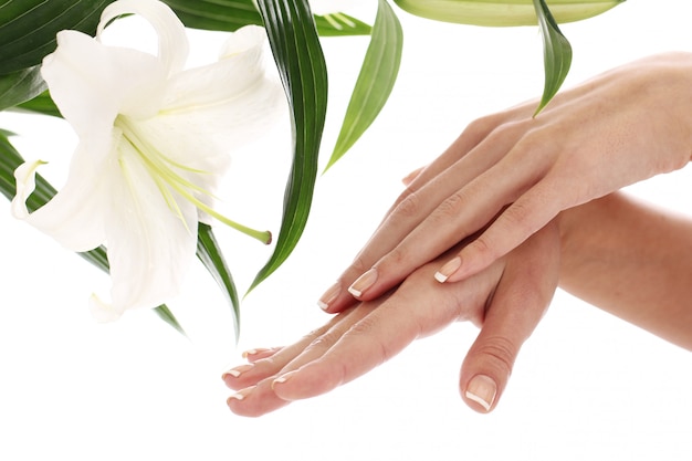 Kobiet ręki i lilly kwiat
