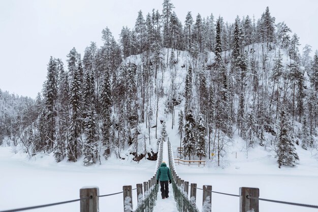 Kobieta przechodząca przez wiszący most w zaśnieżonym Parku Narodowym Oulanka, Finlandia