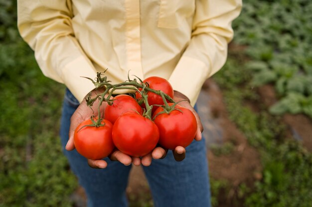 Kobieta trzymająca pomidory pod wysokim kątem