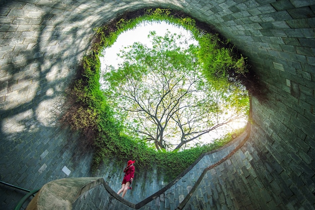 Bezpłatne zdjęcie kobieta w parku fort canning