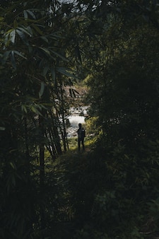 Kobieta wycieczkowicza rekonesansowa dżungla w sa pa wietnam