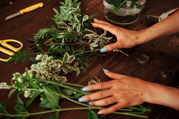 Kobiety ręka sortuje rośliny na drewnianym biurku