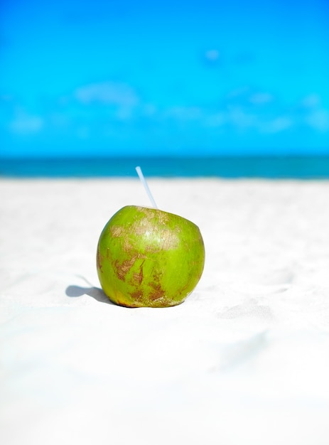 kokos na białej, piaszczystej plaży w pobliżu oceanu w słoneczny letni dzień