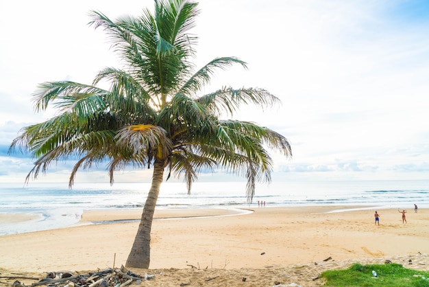 Bezpłatne zdjęcie kokosowe drzewo z tropikalnej plaży