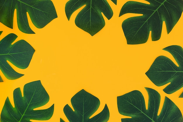 Bezpłatne zdjęcie kolor żółty ramowy tło z tropikalnymi roślinami