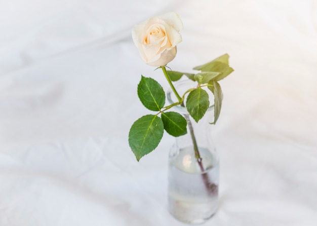 Kolor żółty róży pozycja w szklanej wazie na stole