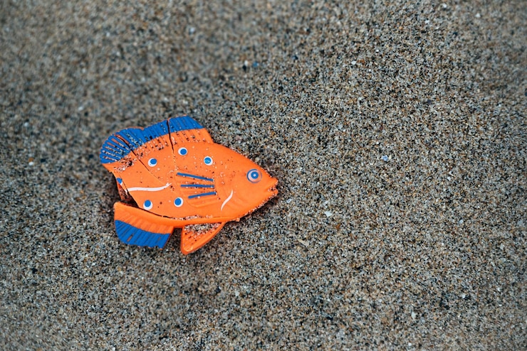 Bezpłatny plik Zdjęcie kolorowe egzotyczne gumowe ryby na piaszczystej plaży