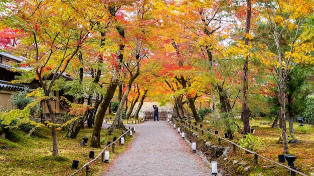 Bezpłatne zdjęcie kolorowe jesienne liście i spacer po parku, kioto w japonii. fotograf robi zdjęcie jesienią.