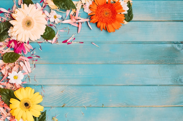 Bezpłatne zdjęcie kolorowe kwiaty i płatki z liśćmi