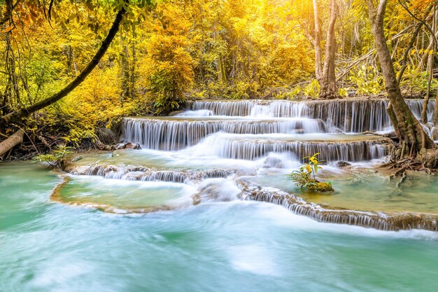 Kolorowy majestatyczny wodospad w lesie parku narodowego jesienią Image