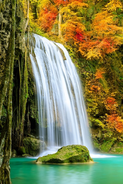 Kolorowy majestatyczny wodospad w lesie parku narodowego jesienią