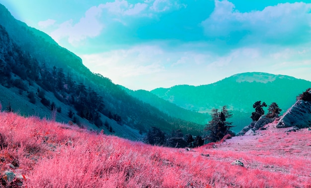 Kolorowy retro krajobraz vaporwave