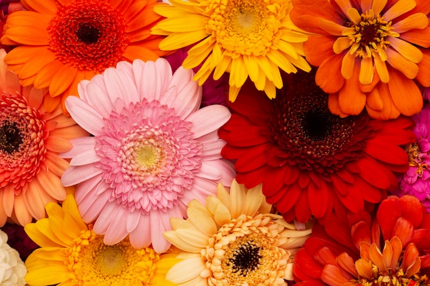 Kompozycja pięknych tapet z kwiatami