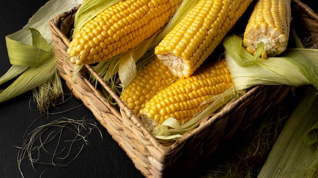 Kompozycja świeżej kukurydzy pod wysokim kątem