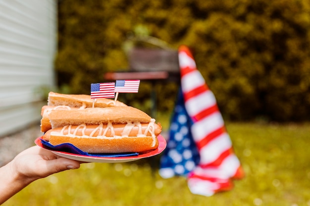 Koncepcja dzień niepodległości z hot-dogi