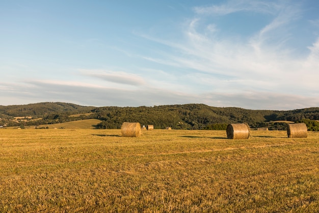 Koncepcja jesień z dużymi rolkami siano