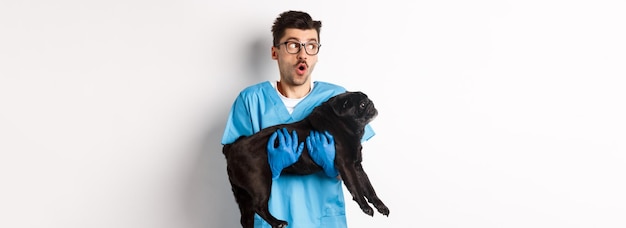 Bezpłatne zdjęcie koncepcja kliniki weterynaryjnej zdumiony mężczyzna lekarz weterynarii trzymający ładny czarny mops pies uśmiechający się i wpatrujący się w le