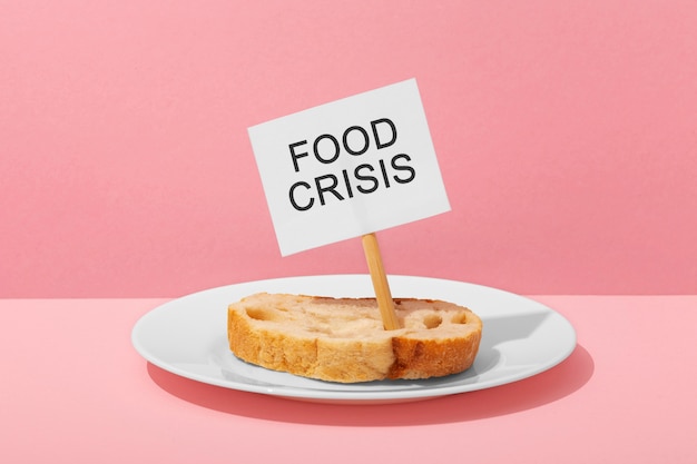Bezpłatne zdjęcie koncepcja kryzysu żywnościowego z chlebem na talerzu