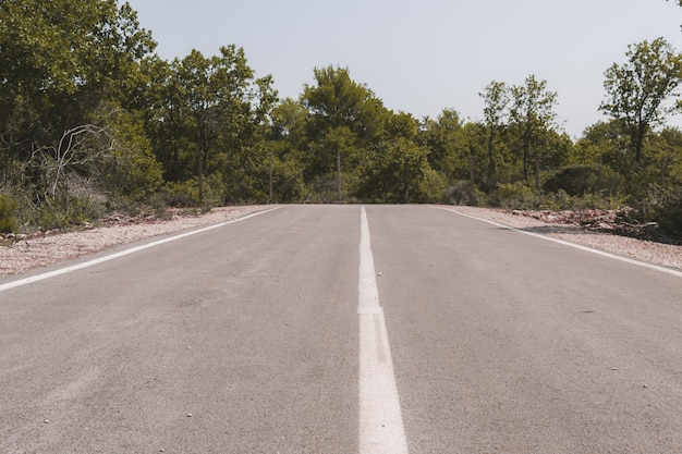 Koniec asfaltowej drogi otoczonej zielenią i drzewami