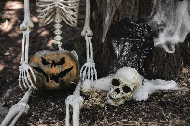 Kościec z dyniowym siedzącym pobliskim czaszką i gravestone opiera na drzewie