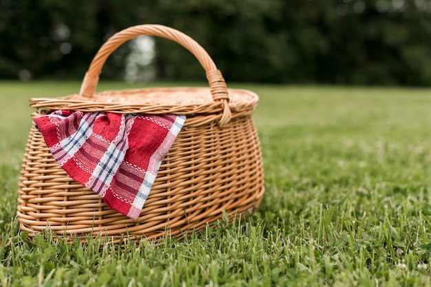 Bezpłatne zdjęcie kosz piknikowy na trawie w parku