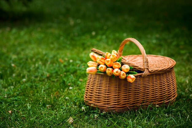 Kosz piknikowy z bukietem tulipanów