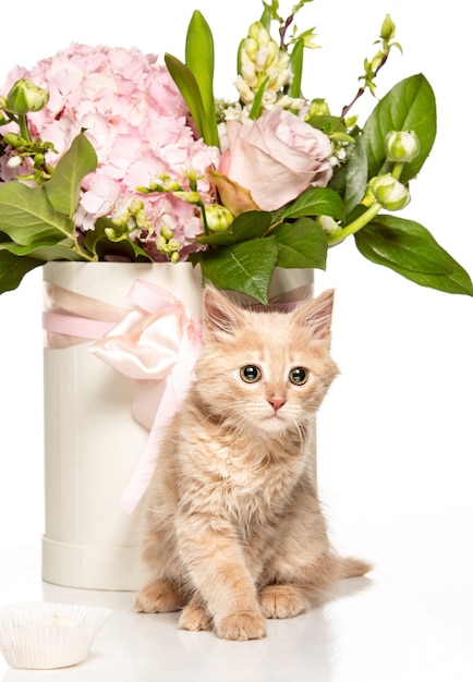 Kot z kwiatami