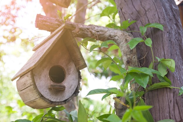 Kraj wiejski birdhouse ogród mało