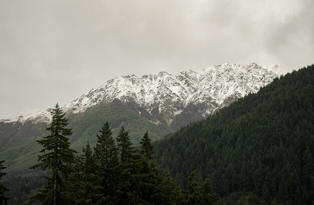 Krajobraz gór pokrytych lasami i śniegiem pod pochmurnym niebem