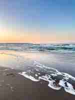 Bezpłatne zdjęcie krajobraz morski z piaszczystą plażą i czystym, bezchmurnym niebem