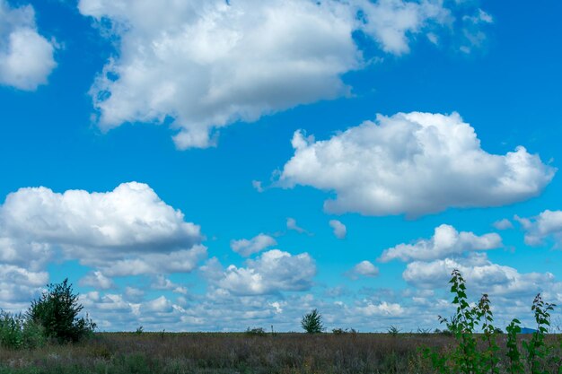 Krajobraz natura. błękitne niebo z dużymi białymi chmurami cumulus na tle pola.