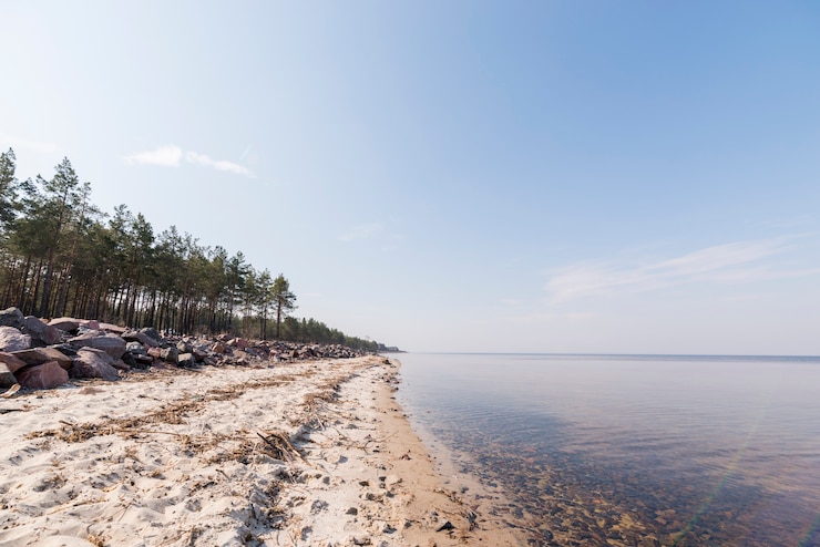 Bezpłatny plik Zdjęcie krajobraz raju wyspy tropikalna plaża z drzewami przeciw niebieskiemu niebu