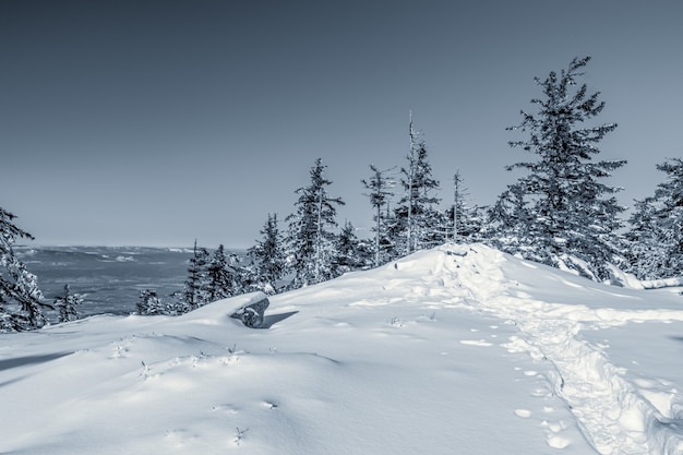 Krajobraz śniegu