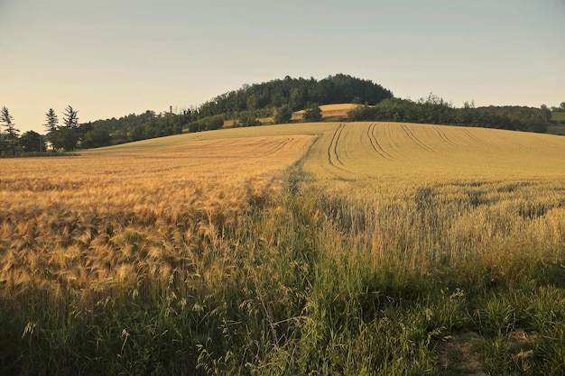 krajobraz wsi, toskania, włochy